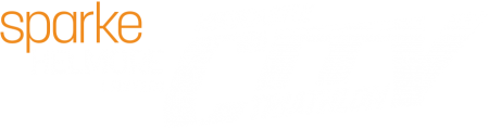 Sparke Helmore City Triathlon